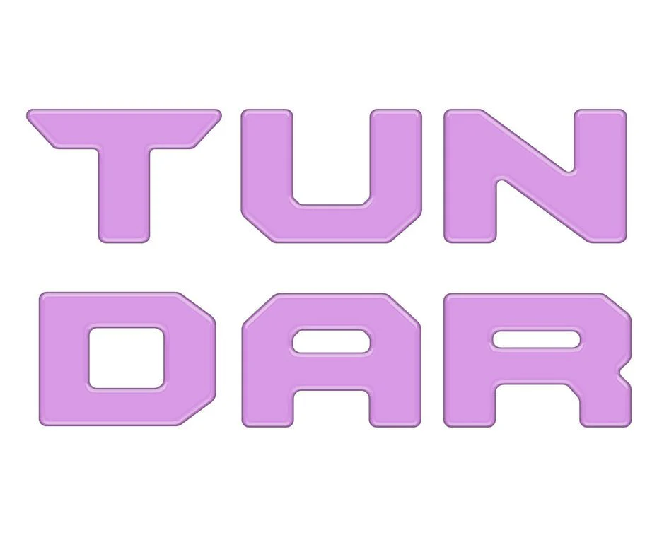 Tufskinz Bed Rail Letter Overlay for Tundra (2022-2026) - Image 15
